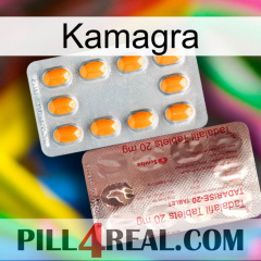 Kamagra new13